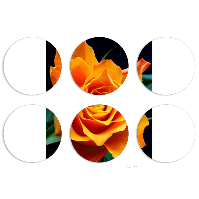 Магнитные фотопазлы круги d55 набор 6 штук 