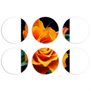 Магнитные фотопазлы круги d55 набор 6 штук 