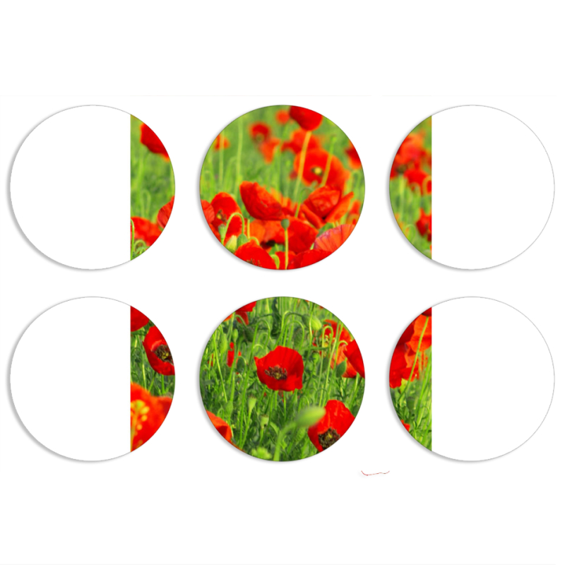 Магнитные фотопазлы круги d55 набор 6 штук 