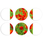 Магнитные фотопазлы круги d55 набор 6 штук 