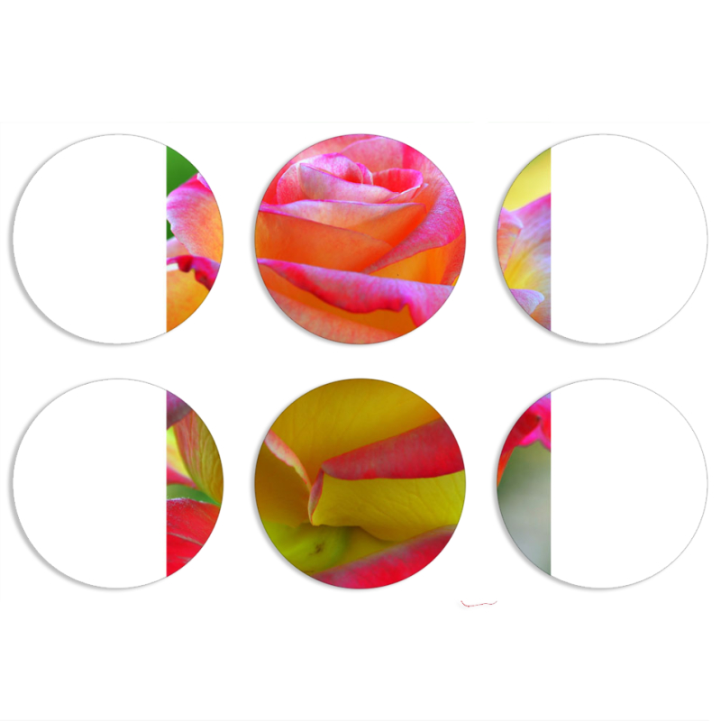 Магнитные фотопазлы круги d55 набор 6 штук 