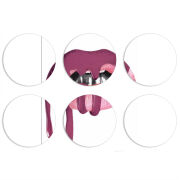 Магнитные фотопазлы круги d55 набор 6 штук 