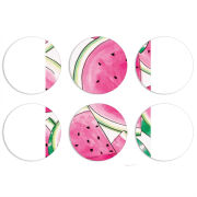 Магнитные фотопазлы круги d55 набор 6 штук 