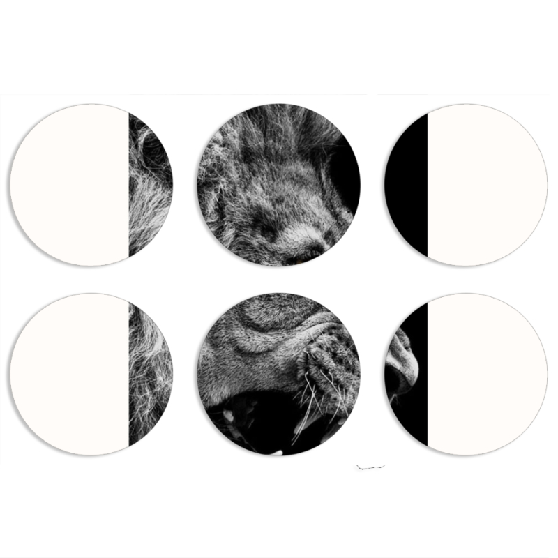 Магнитные фотопазлы круги d55 набор 6 штук 