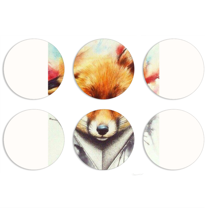 Магнитные фотопазлы круги d55 набор 6 штук 