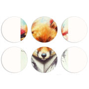 Магнитные фотопазлы круги d55 набор 6 штук 