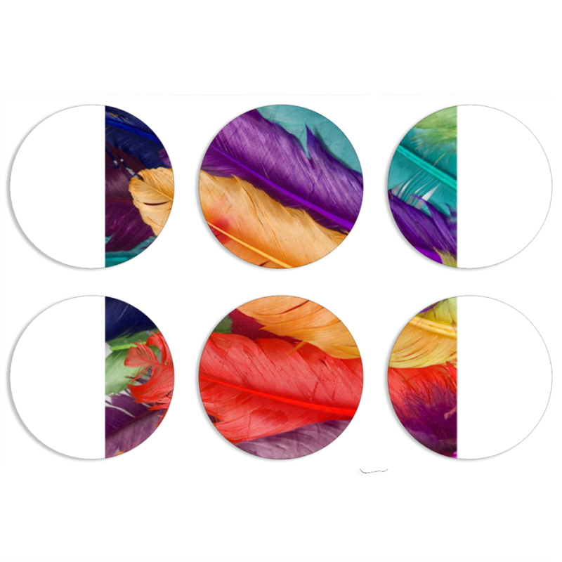 Магнитные фотопазлы круги d55 набор 6 штук Colour Joy