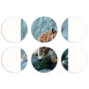 Магнитные фотопазлы круги d55 набор 6 штук 