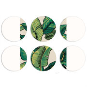 Магнитные фотопазлы круги d55 набор 6 штук 