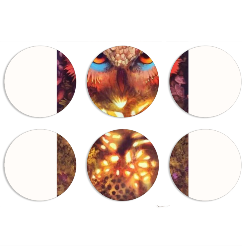 Магнитные фотопазлы круги d55 набор 6 штук 