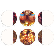 Магнитные фотопазлы круги d55 набор 6 штук 