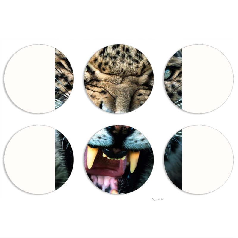 Магнитные фотопазлы круги d55 набор 6 штук 