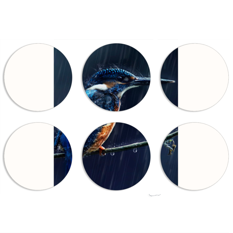 Магнитные фотопазлы круги d55 набор 6 штук 