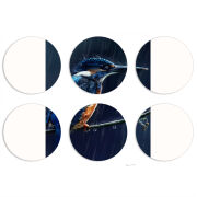 Магнитные фотопазлы круги d55 набор 6 штук 