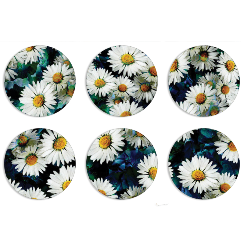 Магнитные фотопазлы круги d55 набор 6 штук 