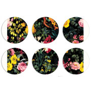 Магнитные фотопазлы круги d55 набор 6 штук 