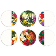 Магнитные фотопазлы круги d55 набор 6 штук 