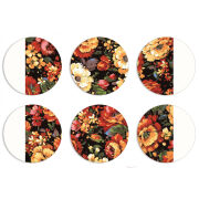 Магнитные фотопазлы круги d55 набор 6 штук 