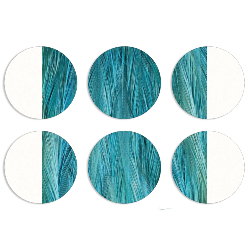 Магнитные фотопазлы круги d55 набор 6 штук 