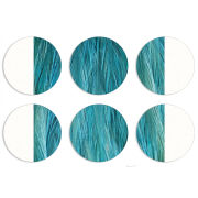 Магнитные фотопазлы круги d55 набор 6 штук 