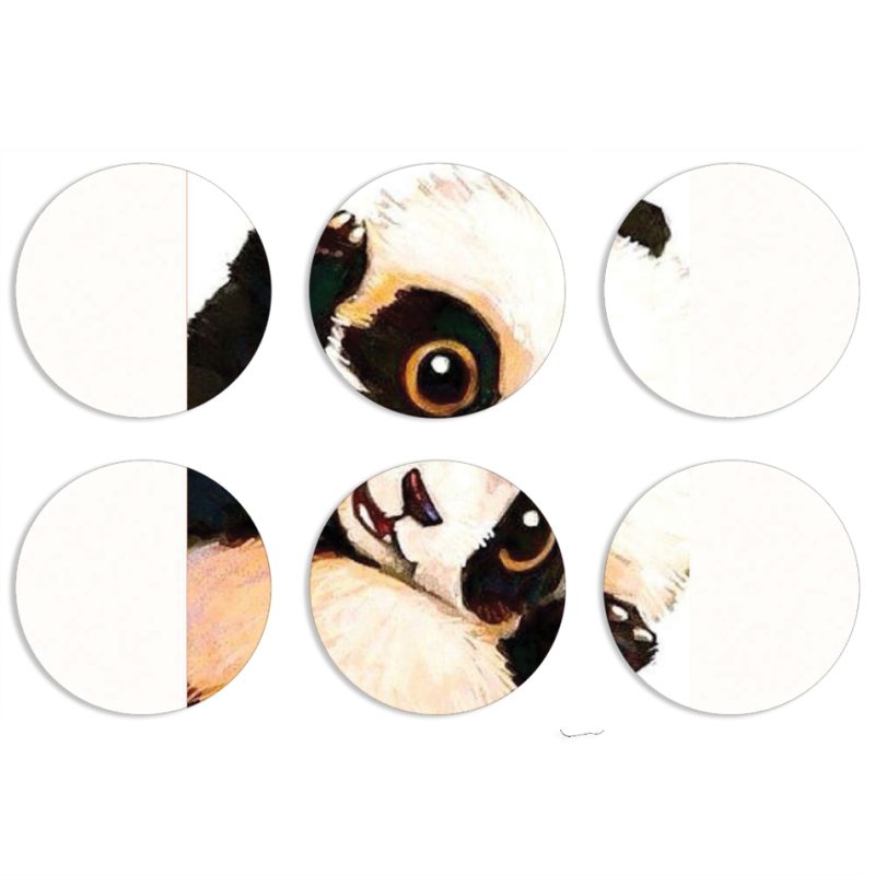 Магнитные фотопазлы круги d55 набор 6 штук 