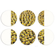 Магнитные фотопазлы круги d55 набор 6 штук 