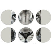 Магнитные фотопазлы круги d55 набор 6 штук 
