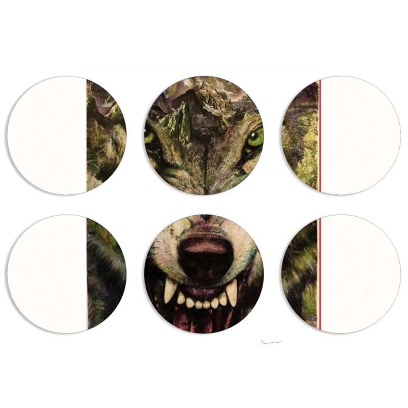 Магнитные фотопазлы круги d55 набор 6 штук 