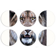 Магнитные фотопазлы круги d55 набор 6 штук 