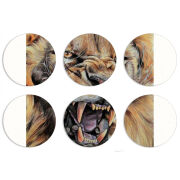 Магнитные фотопазлы круги d55 набор 6 штук 