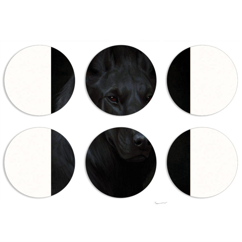 Магнитные фотопазлы круги d55 набор 6 штук 