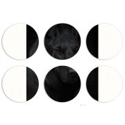 Магнитные фотопазлы круги d55 набор 6 штук 