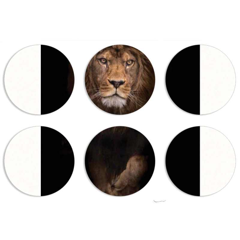 Магнитные фотопазлы круги d55 набор 6 штук 