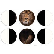 Магнитные фотопазлы круги d55 набор 6 штук 