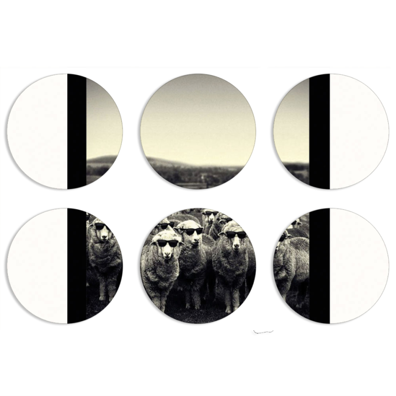 Магнитные фотопазлы круги d55 набор 6 штук 