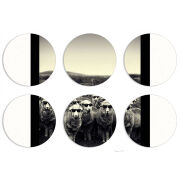 Магнитные фотопазлы круги d55 набор 6 штук 