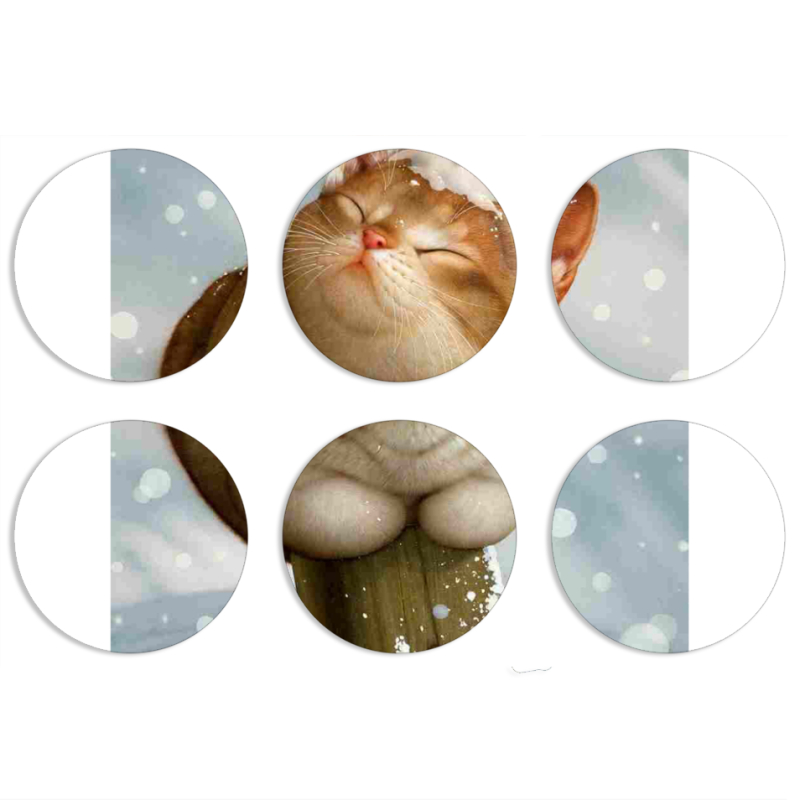 Магнитные фотопазлы круги d55 набор 6 штук 