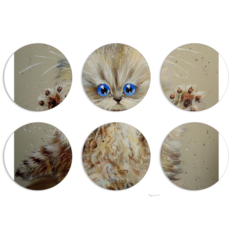 Магнитные фотопазлы круги d55 набор 6 штук 