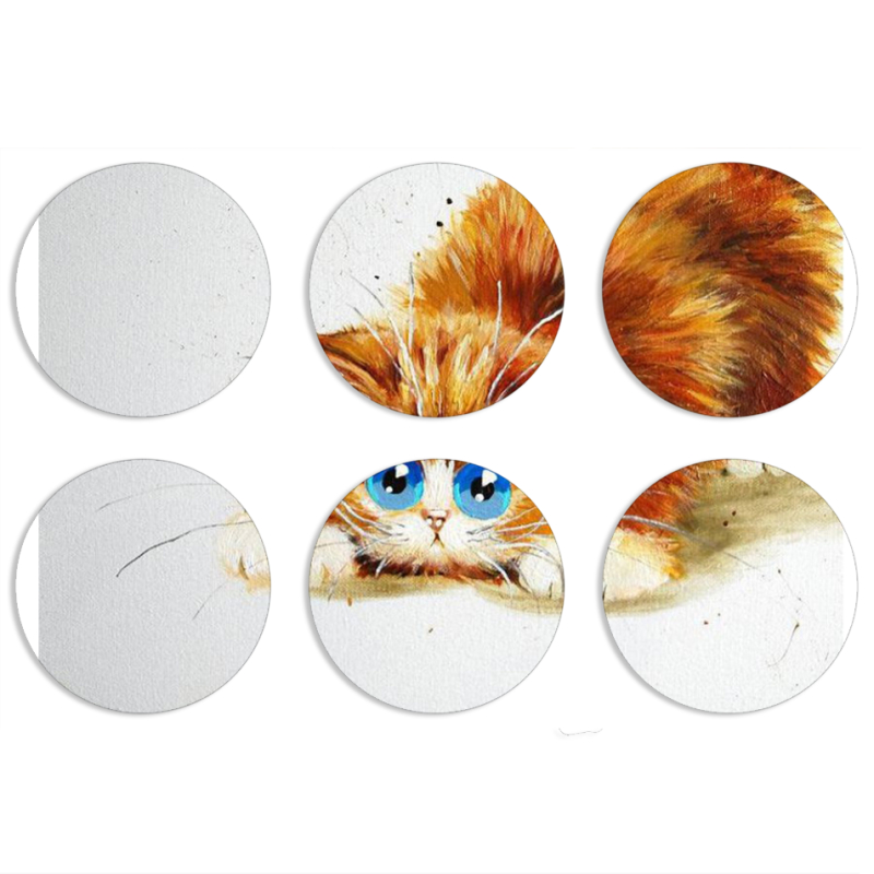 Магнитные фотопазлы круги d55 набор 6 штук 