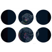 Магнитные фотопазлы круги d55 набор 6 штук 