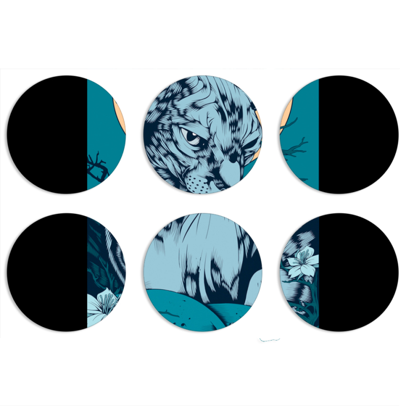 Магнитные фотопазлы круги d55 набор 6 штук 