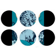 Магнитные фотопазлы круги d55 набор 6 штук 