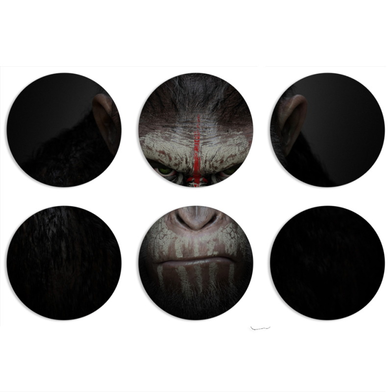 Магнитные фотопазлы круги d55 набор 6 штук 