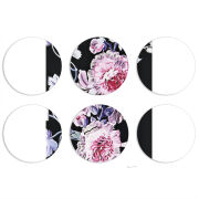 Магнитные фотопазлы круги d55 набор 6 штук 