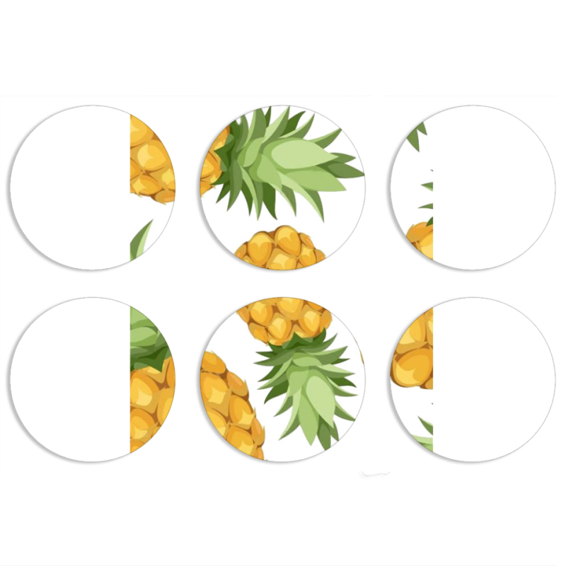 Магнитные фотопазлы круги d55 набор 6 штук 