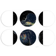 Магнитные фотопазлы круги d55 набор 6 штук 