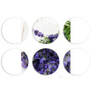 Магнитные фотопазлы круги d55 набор 6 штук 