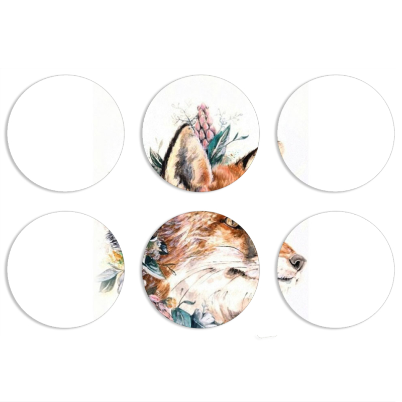 Магнитные фотопазлы круги d55 набор 6 штук 