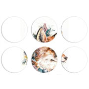 Магнитные фотопазлы круги d55 набор 6 штук 