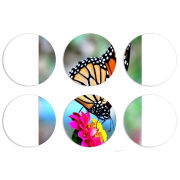 Магнитные фотопазлы круги d55 набор 6 штук 